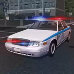 巡警模拟器