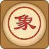 象棋大师
