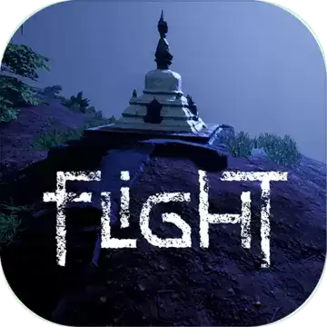 Flight