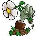 植物大战僵尸e