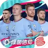 绿茵信仰