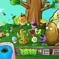 植物大战僵尸金坷垃