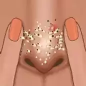 达人