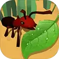 蚂蚁进化