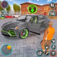 Open World Car Dri