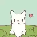 猫汤