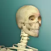 放置人类中文