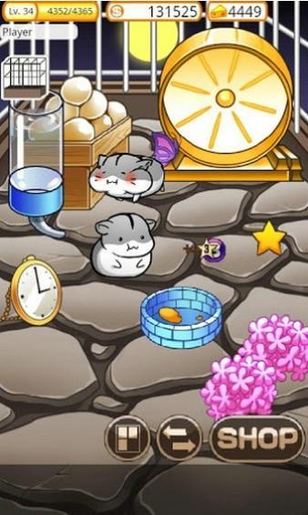 仓鼠的日常生活 v4.5.8游戏图2