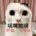 猫里奥