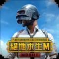 pubgmobile国际服