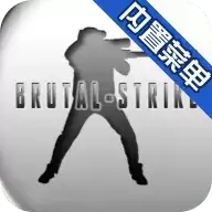 野蛮打击