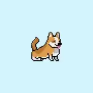 Corgi Run(柯基奔跑)