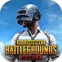 地铁逃生国际服本(PUBG MOBILE)