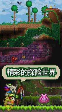 泰拉瑞亚1.4.0.5.1游戏图1
