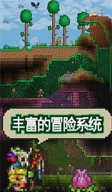 泰拉瑞亚1.4.0.5.1游戏图1