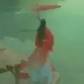 寻道大千