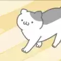 猫咪真可爱