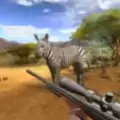 狩猎冲突