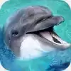 海洋动物模拟器