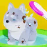 宠物清洗美容
