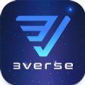 VERSE