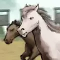 赛马也疯狂