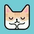 猫猫睡觉