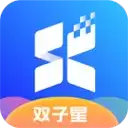 双子