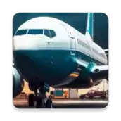 航空公司经理