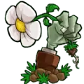 植物大战僵尸