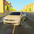 Passat Car Dri