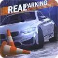 真实泊车