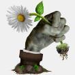 植物大战僵尸