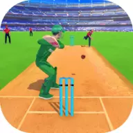 真正的板球挑战赛Real Cricket Challenge Game