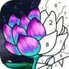 填它数字填色