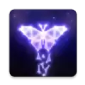 璀璨星光