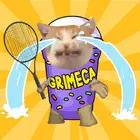 猫咪网球大赛游戏(Cat Tennis Master)