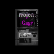 PROJECT GAGE