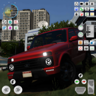 新车驾驶(NIVA Car Dri