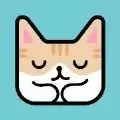 猫猫睡觉