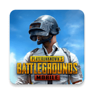 pubg国际