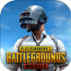 PUBG NASA直装3.1(PUBG MOBILE)