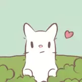 猫咪和汤2024