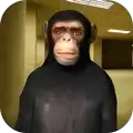 Gmod逃亡