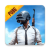 pubg贾神国体直装(PUBG MOBILE)