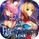 Fate Extella Link
