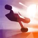 逐日飞行