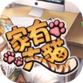 家有大猫app