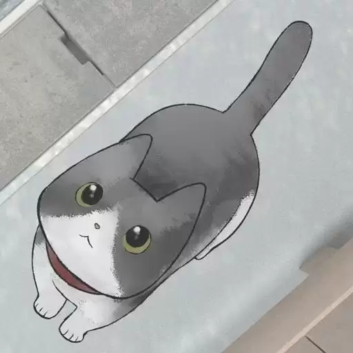 流浪猫的故事