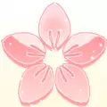 某某宗女修修炼手札